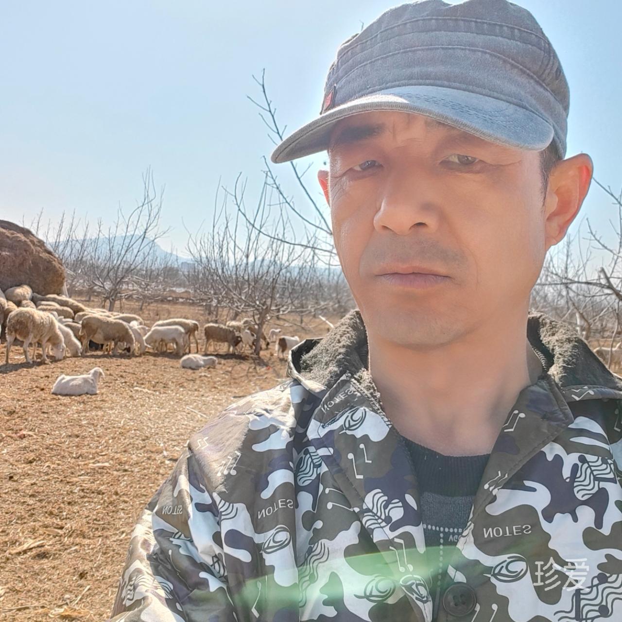 想和你遠走高飛