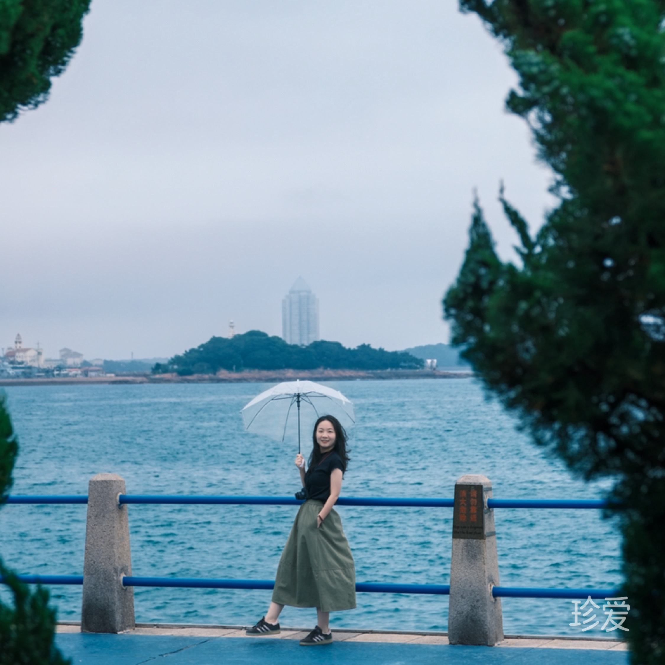 啊噜噜