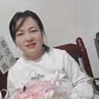 盛開的向日葵