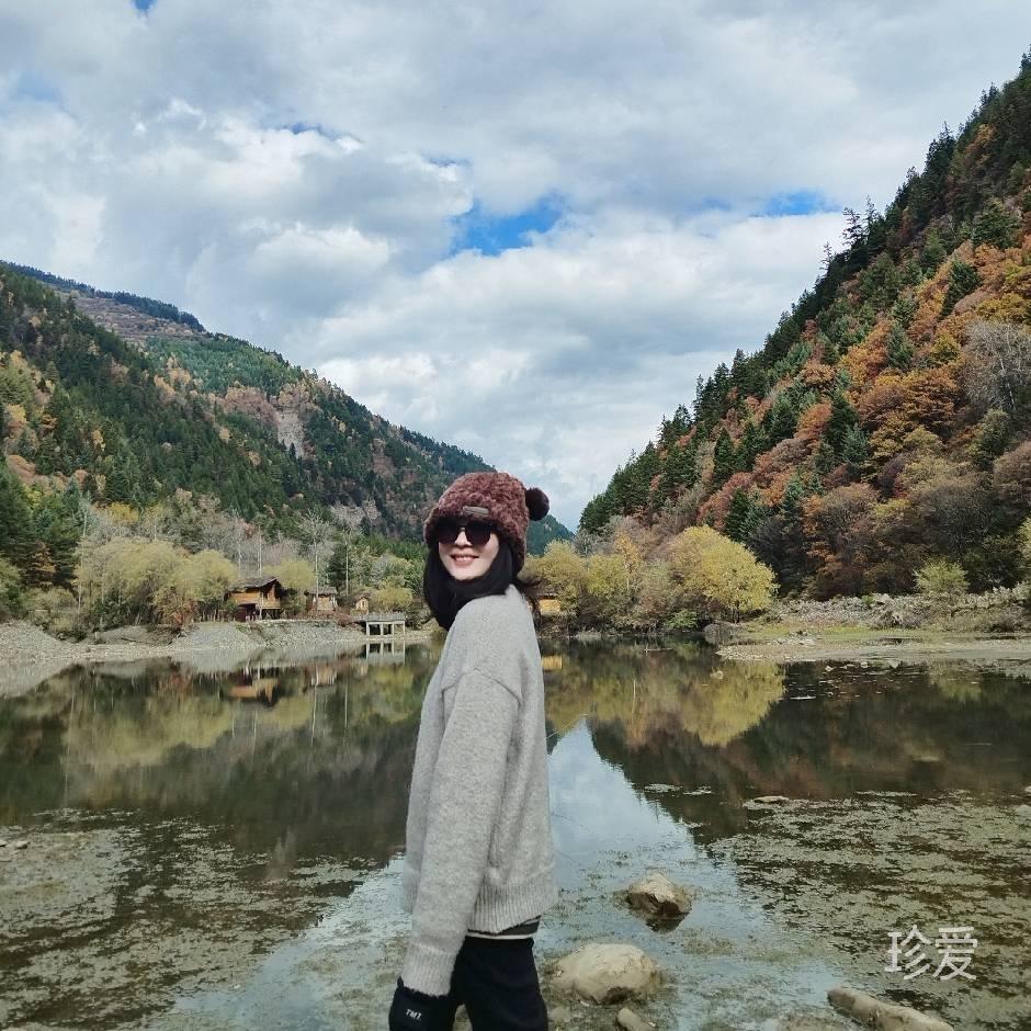 汪汪