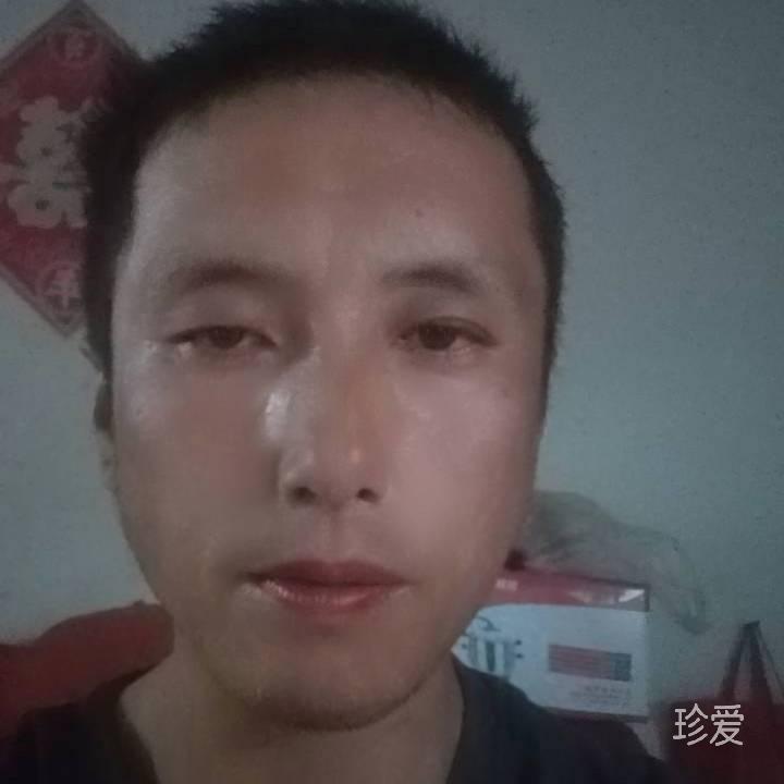 冬天的一棵树