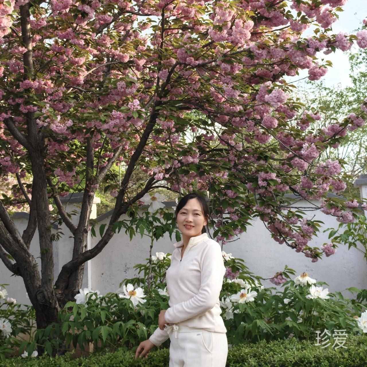安妮好运连连