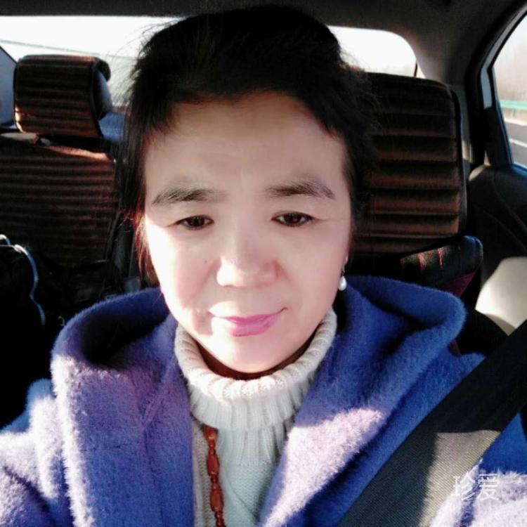 海燕的夢(mèng)想