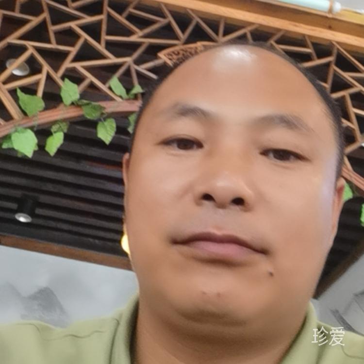 霸占你的温柔