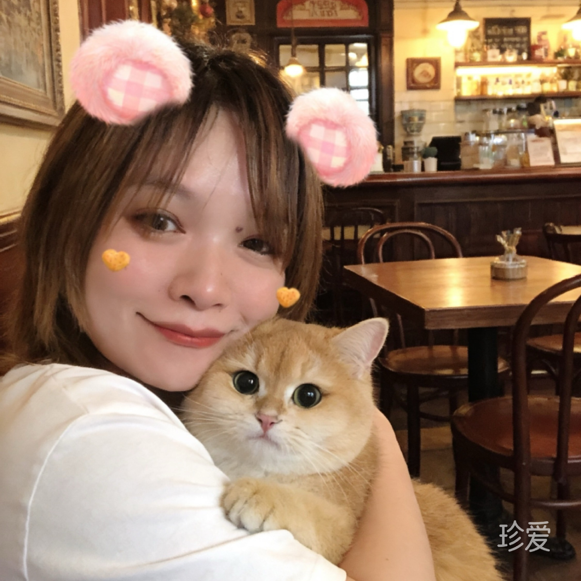 kate_tingting