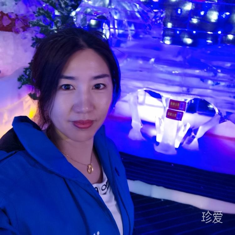 羊儿