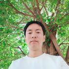 瀟灑樹葉