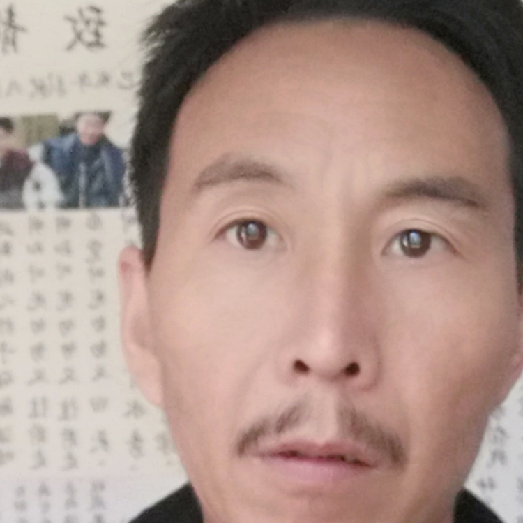 心灵伴侣归来吧