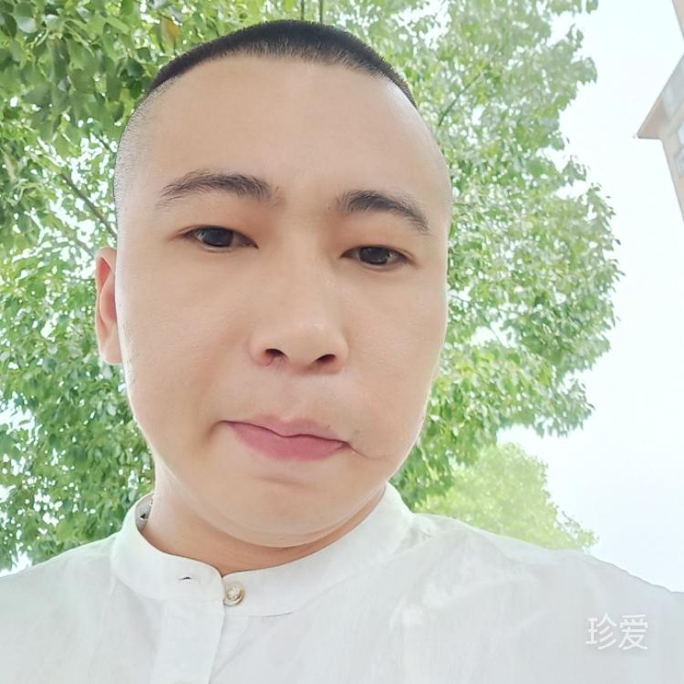 一只蜗牛