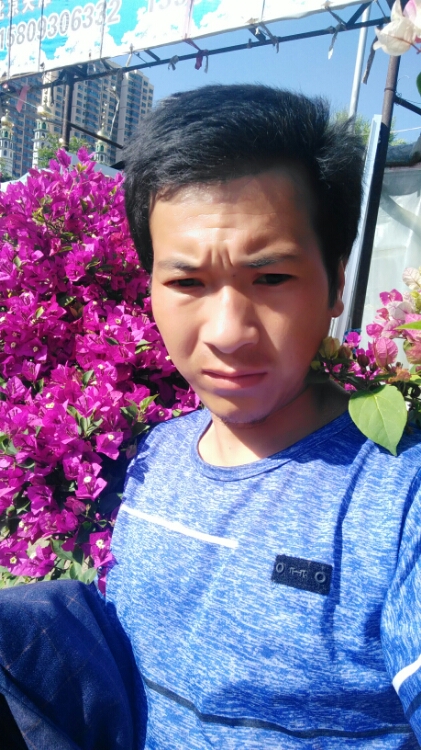 繁华落叶尽是伤