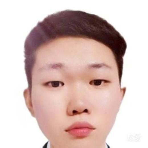 墨叶轻舞