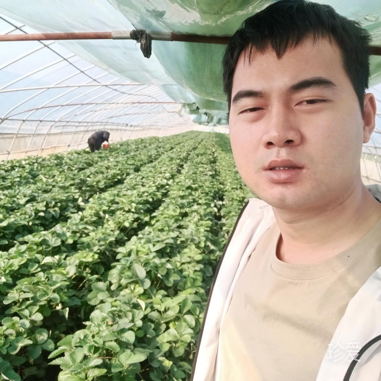 就愛胖妹瘦的免談