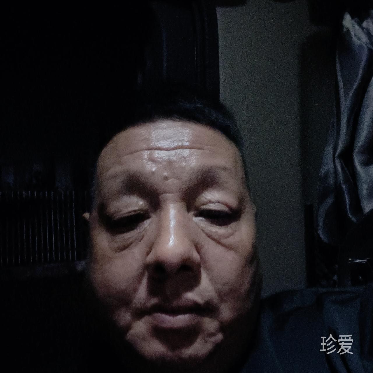 飞翔的风