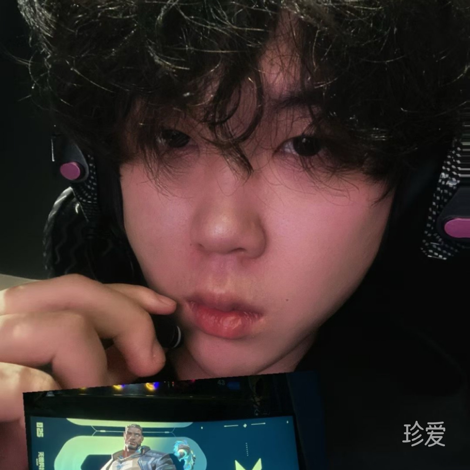 邢邢