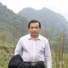 孤雁南飛