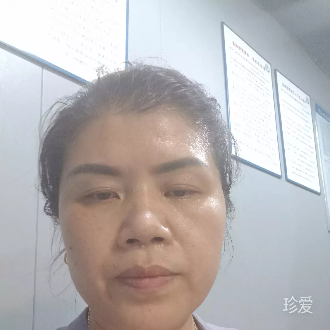 紫藤兰