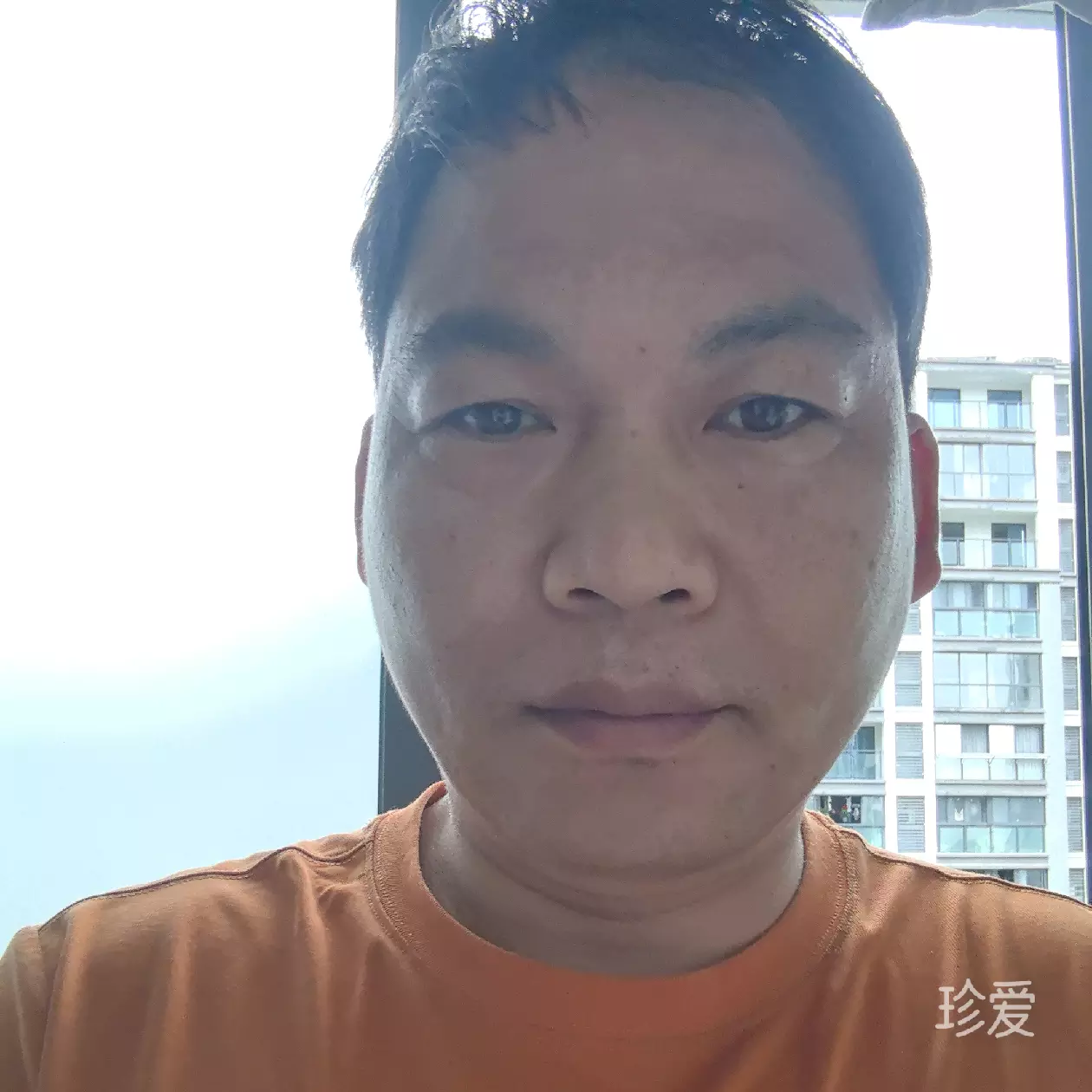 梦随风飘扬