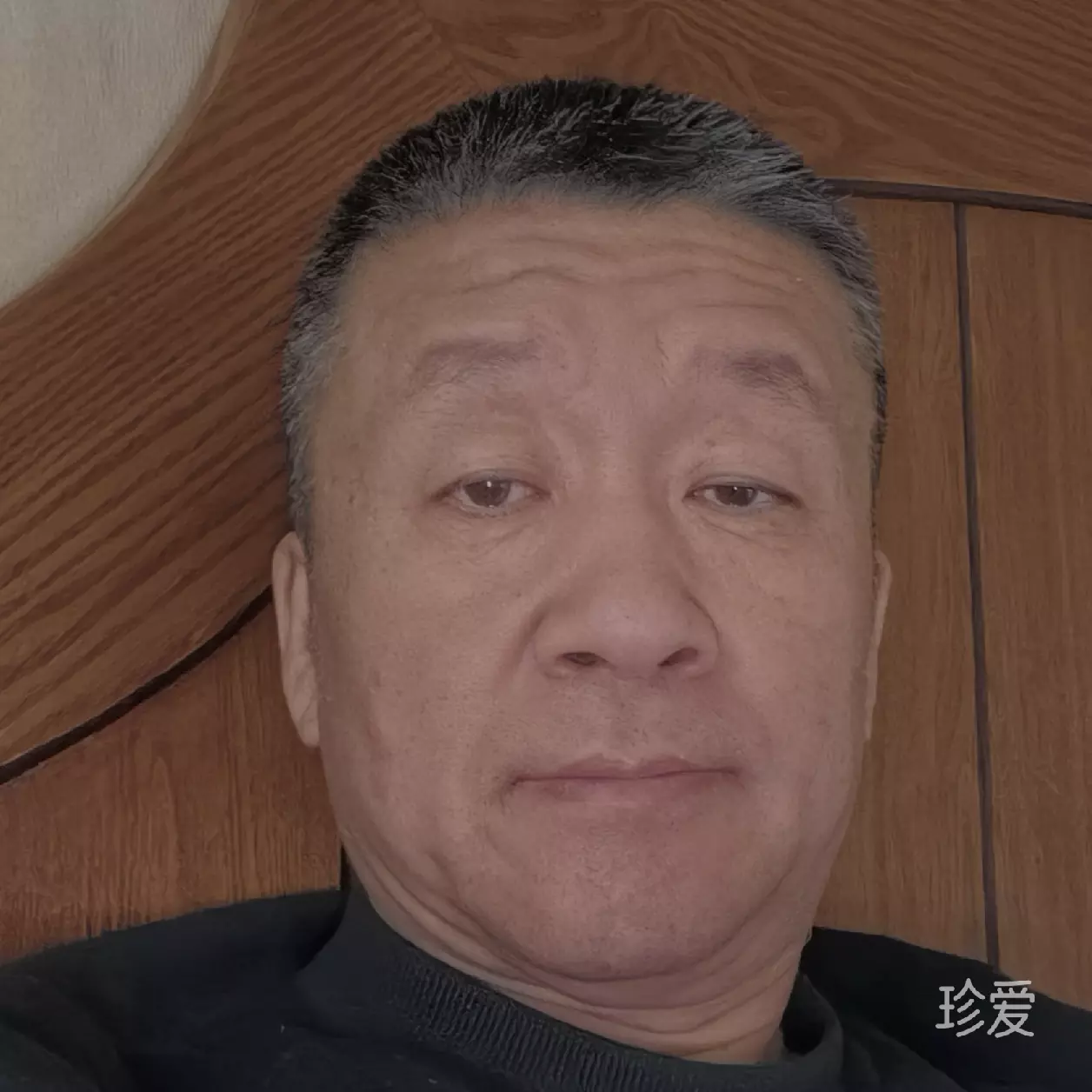飞雪迎春