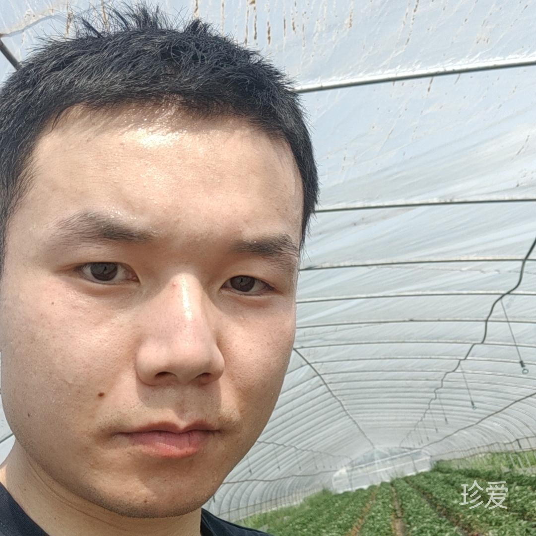 米米西