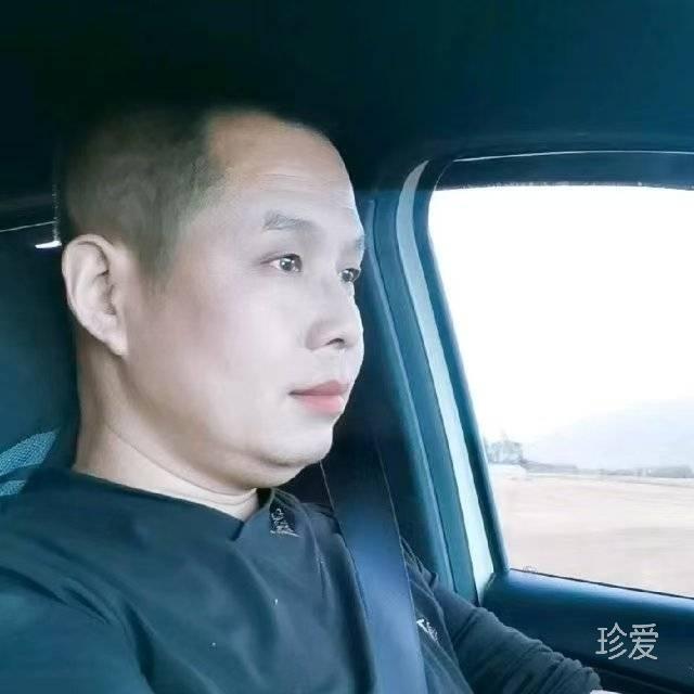 大树