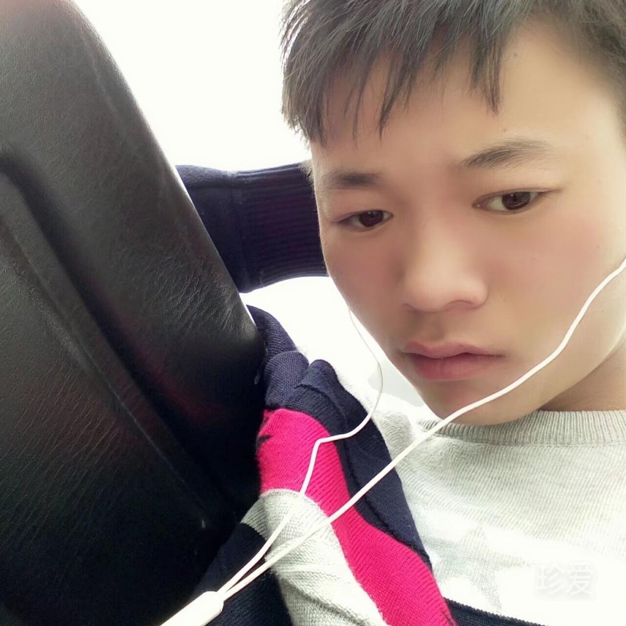 阳光下的文龙