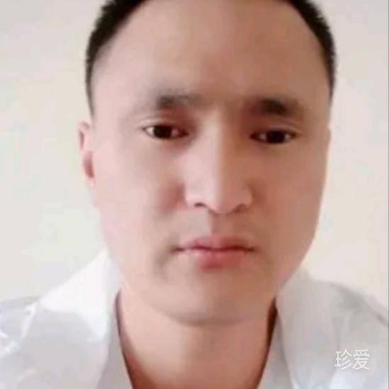 梦随风行