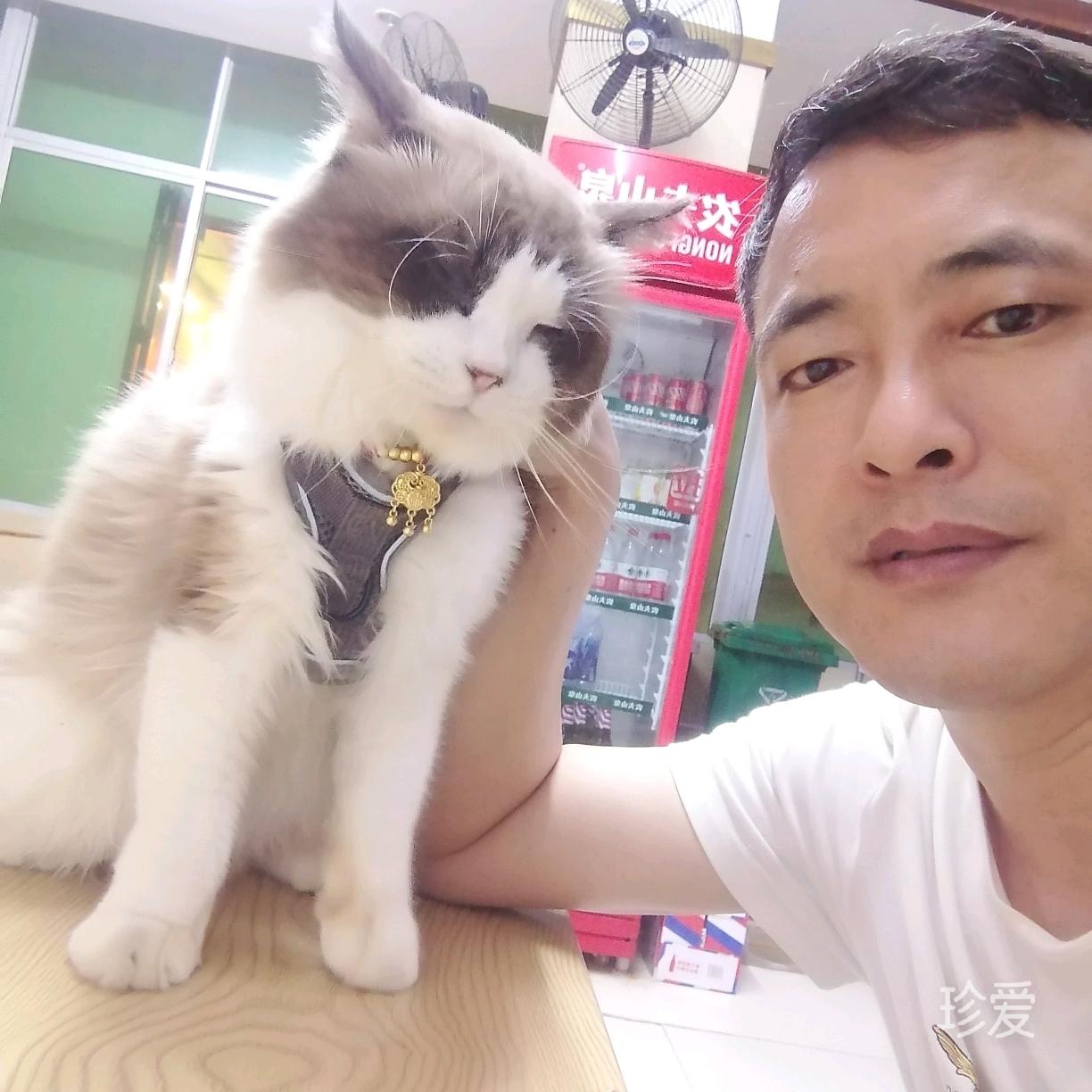 尋找真誠(chéng)