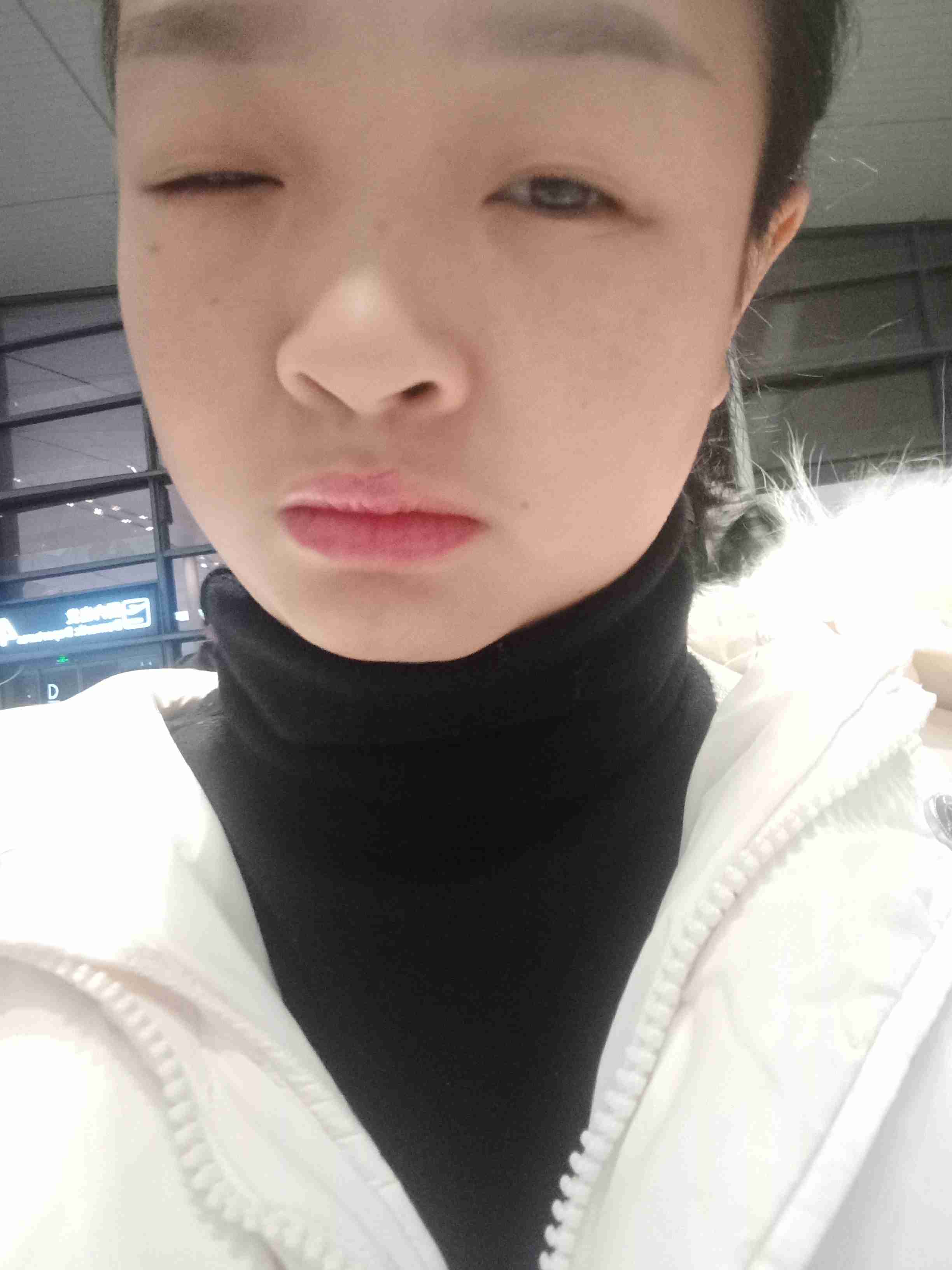 七秒记忆的鱼鱼