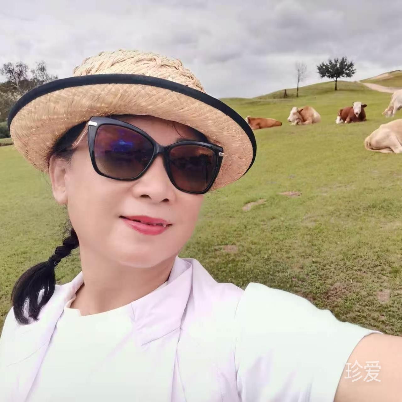 静心