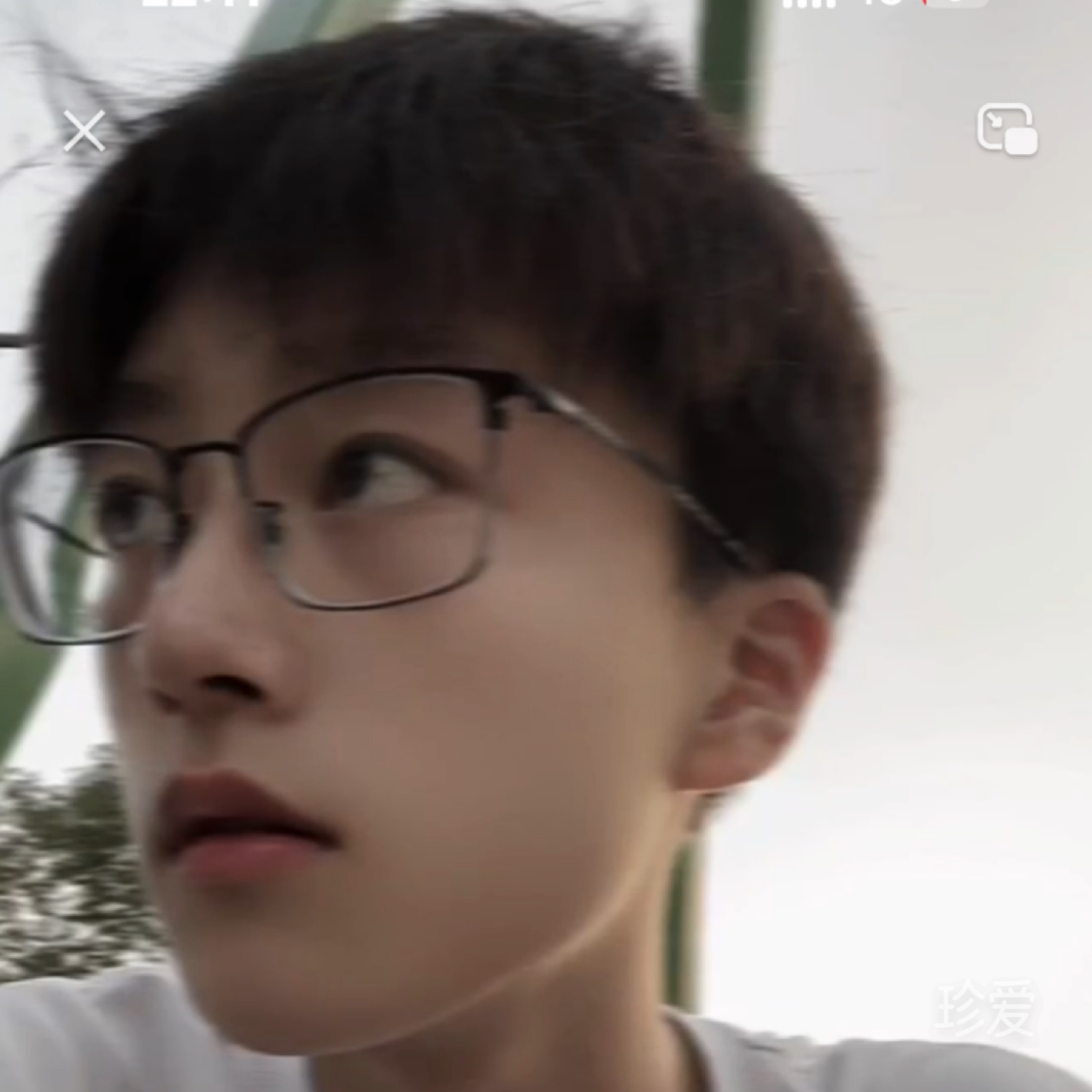 咸鱼白菜各有所爱