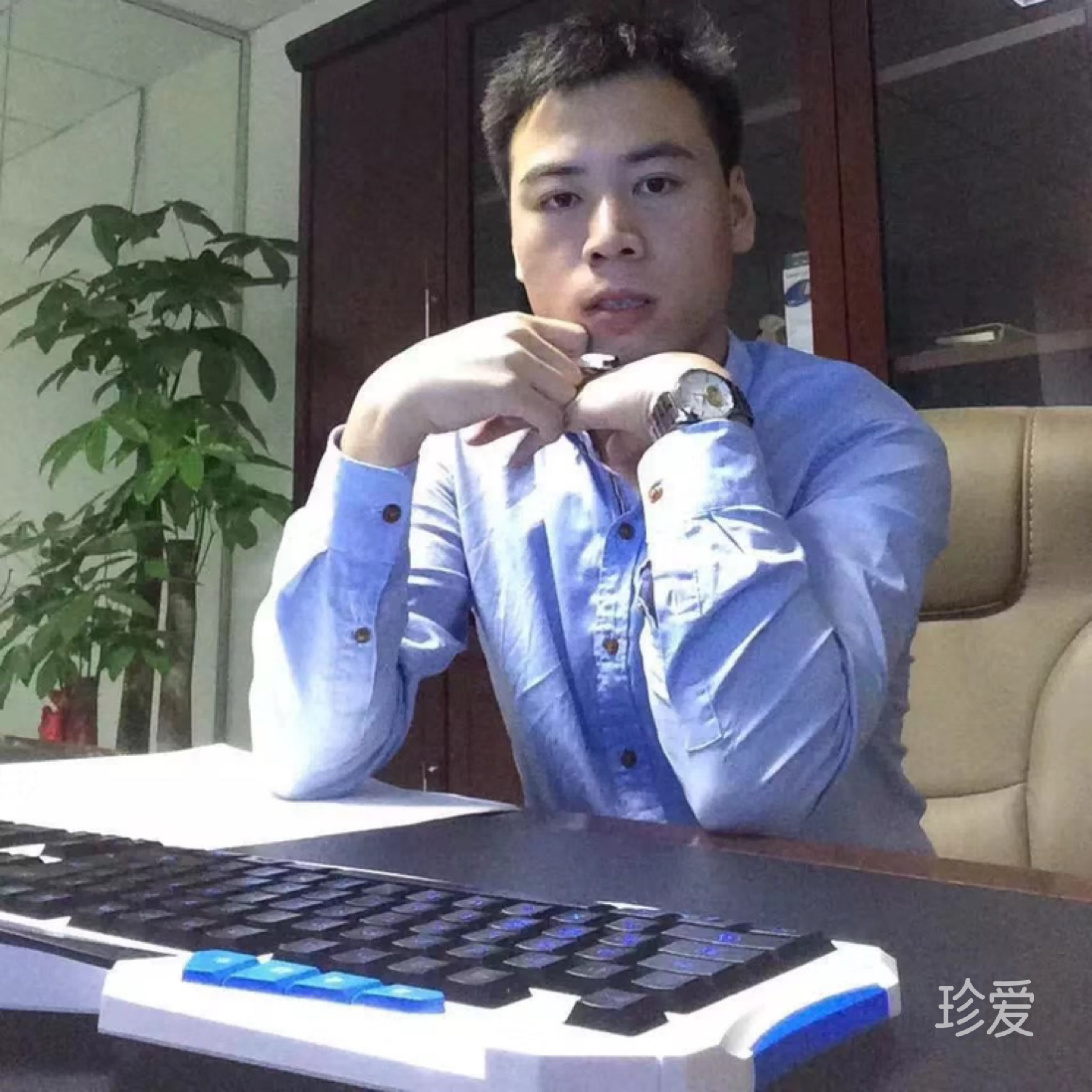 小蚂蚁