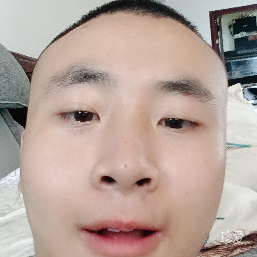 马踏飞燕