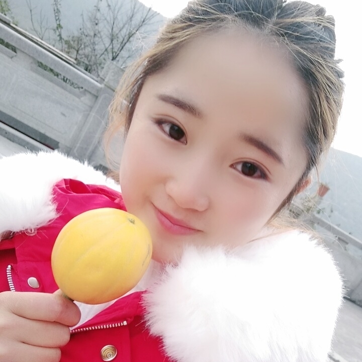 風(fēng)雨中的香水百合