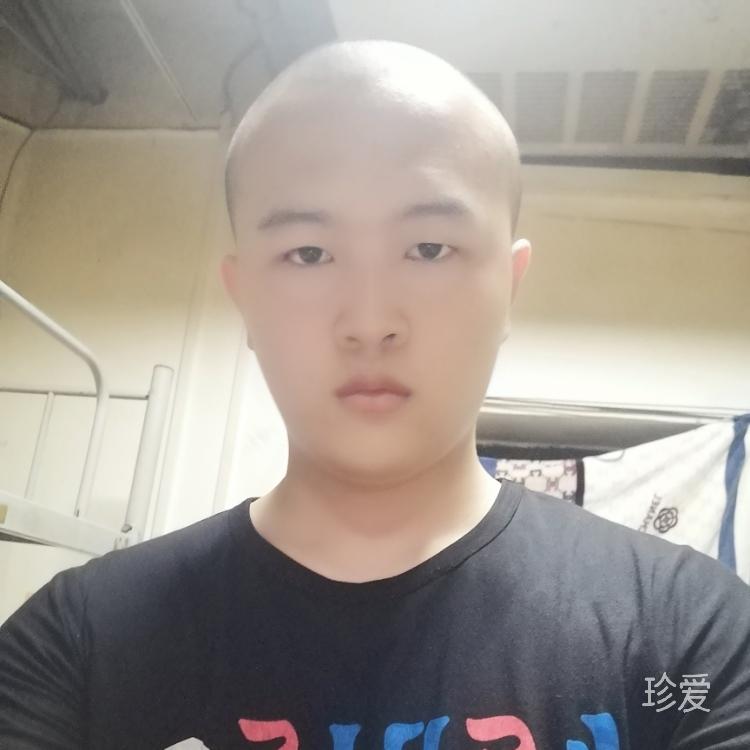 机甲钢拳哈特曼