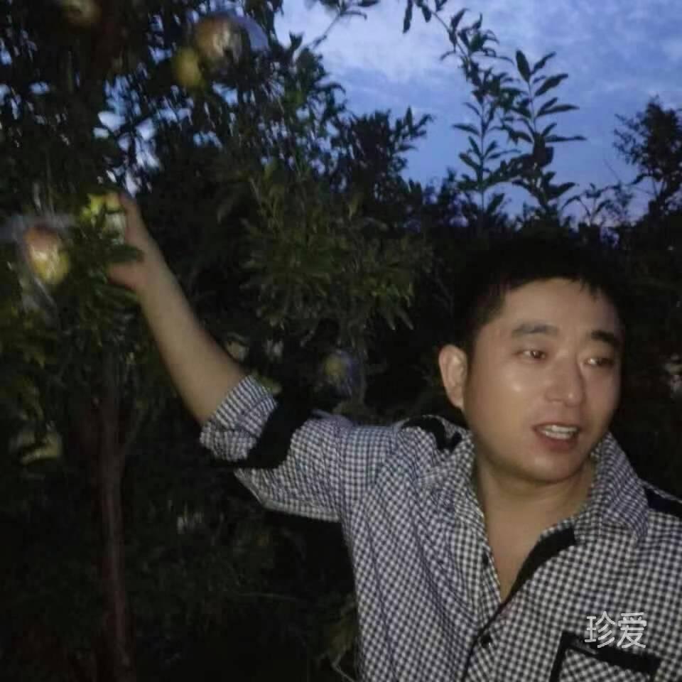 天涯孤客