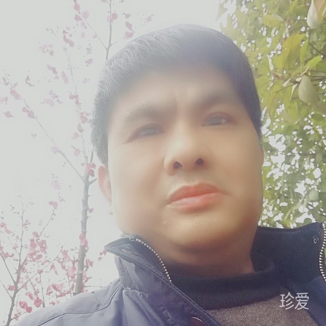 南国红豆