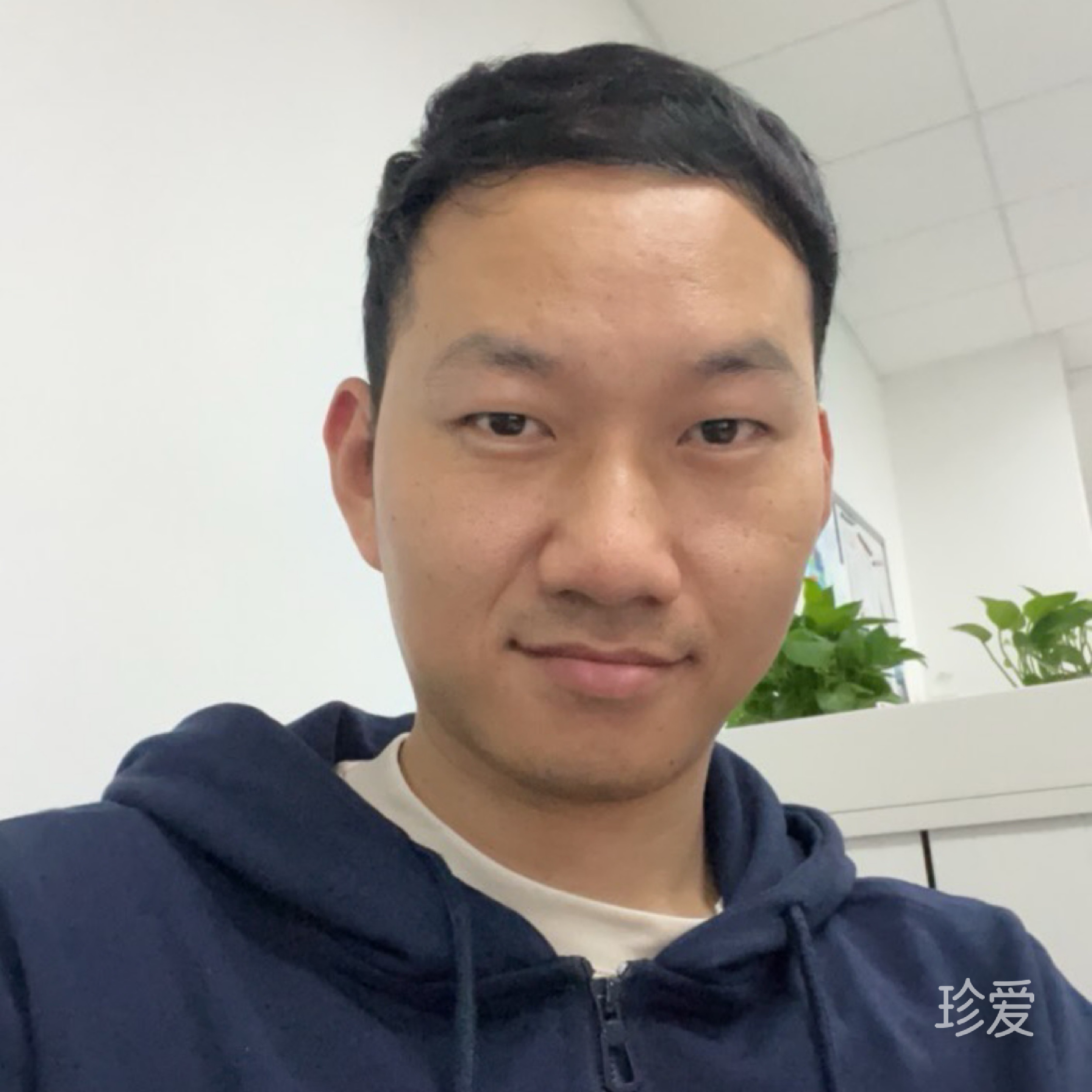 向陽而生的呆萌豬