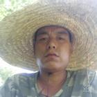 快樂的光頭強(qiáng)