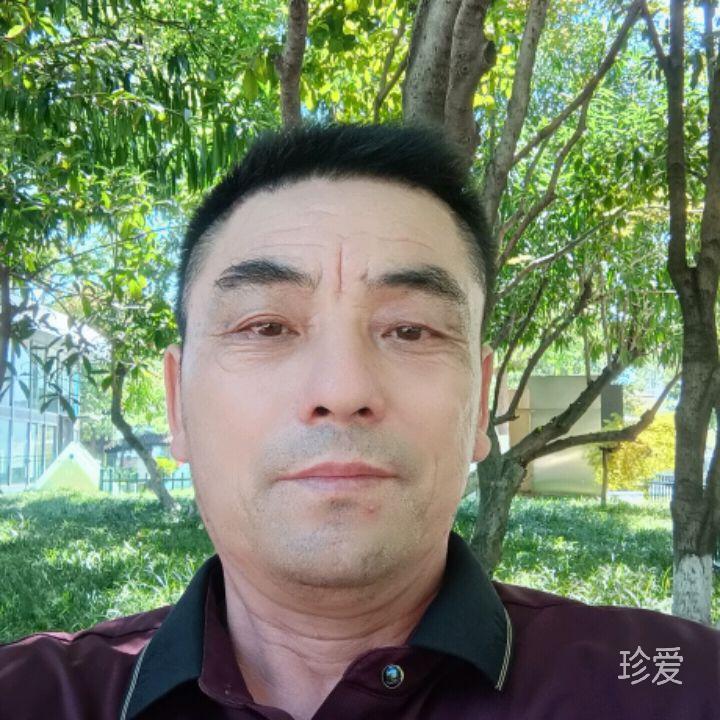 真心期待