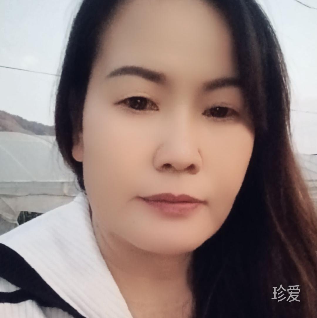 海豚恋人
