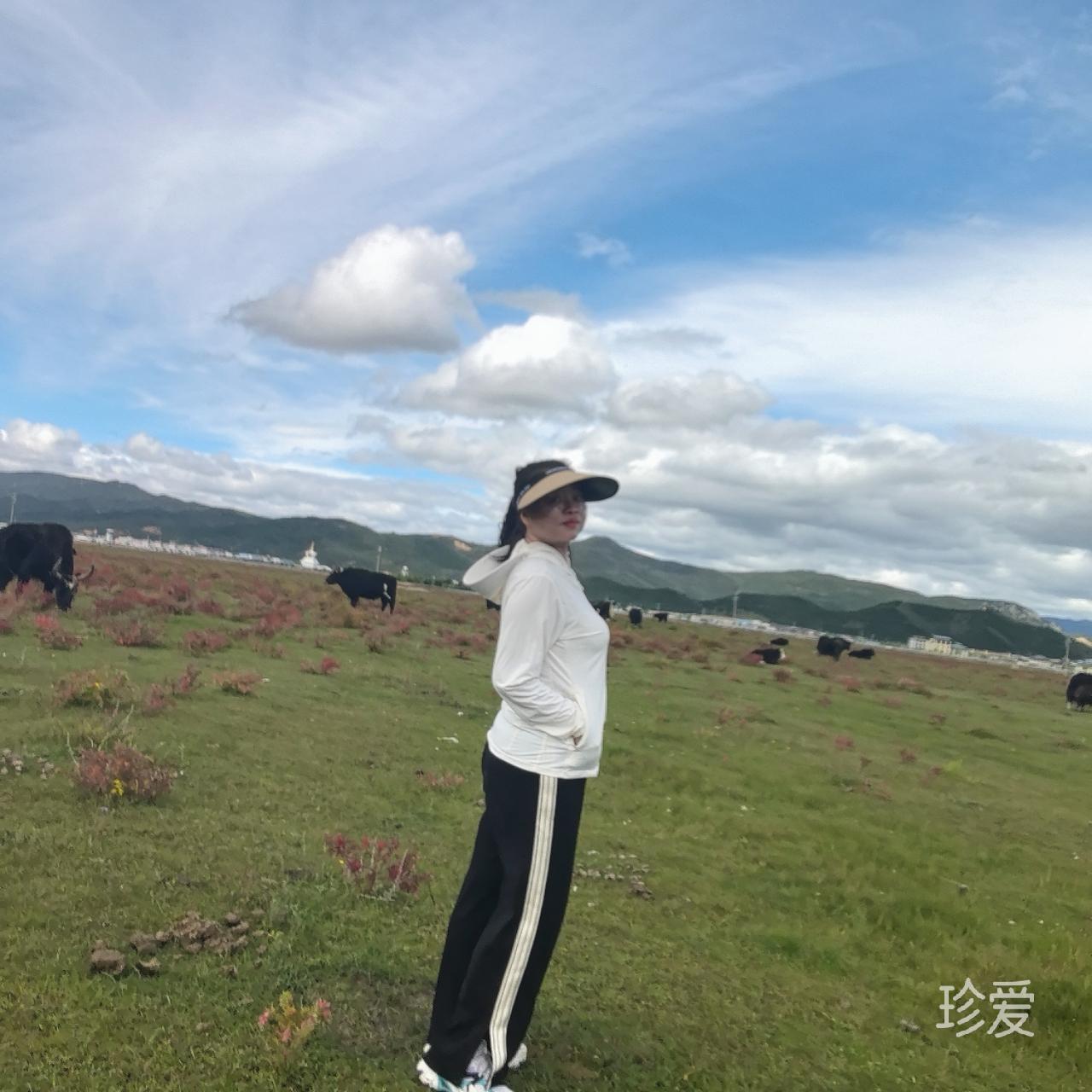 盛夏微澜