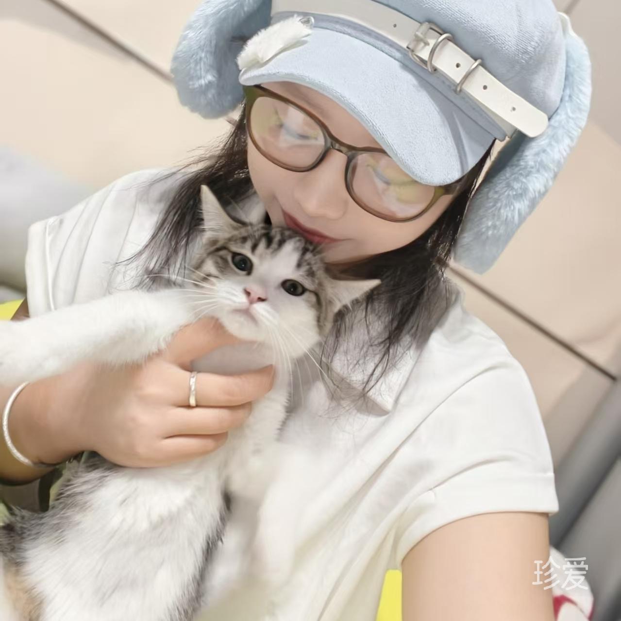 背影