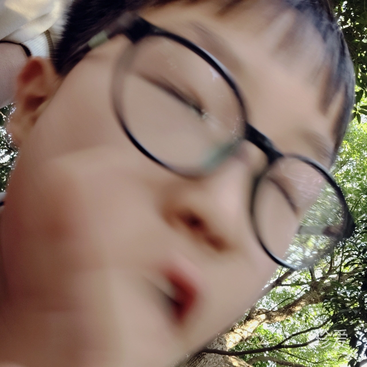 骑驴看手机
