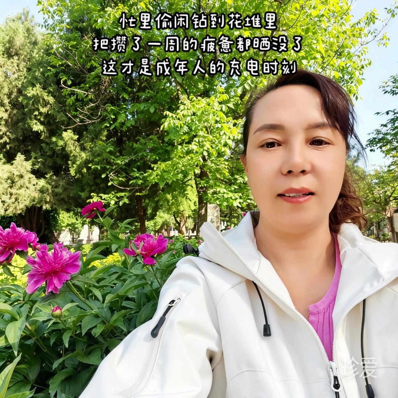 羊羊羊