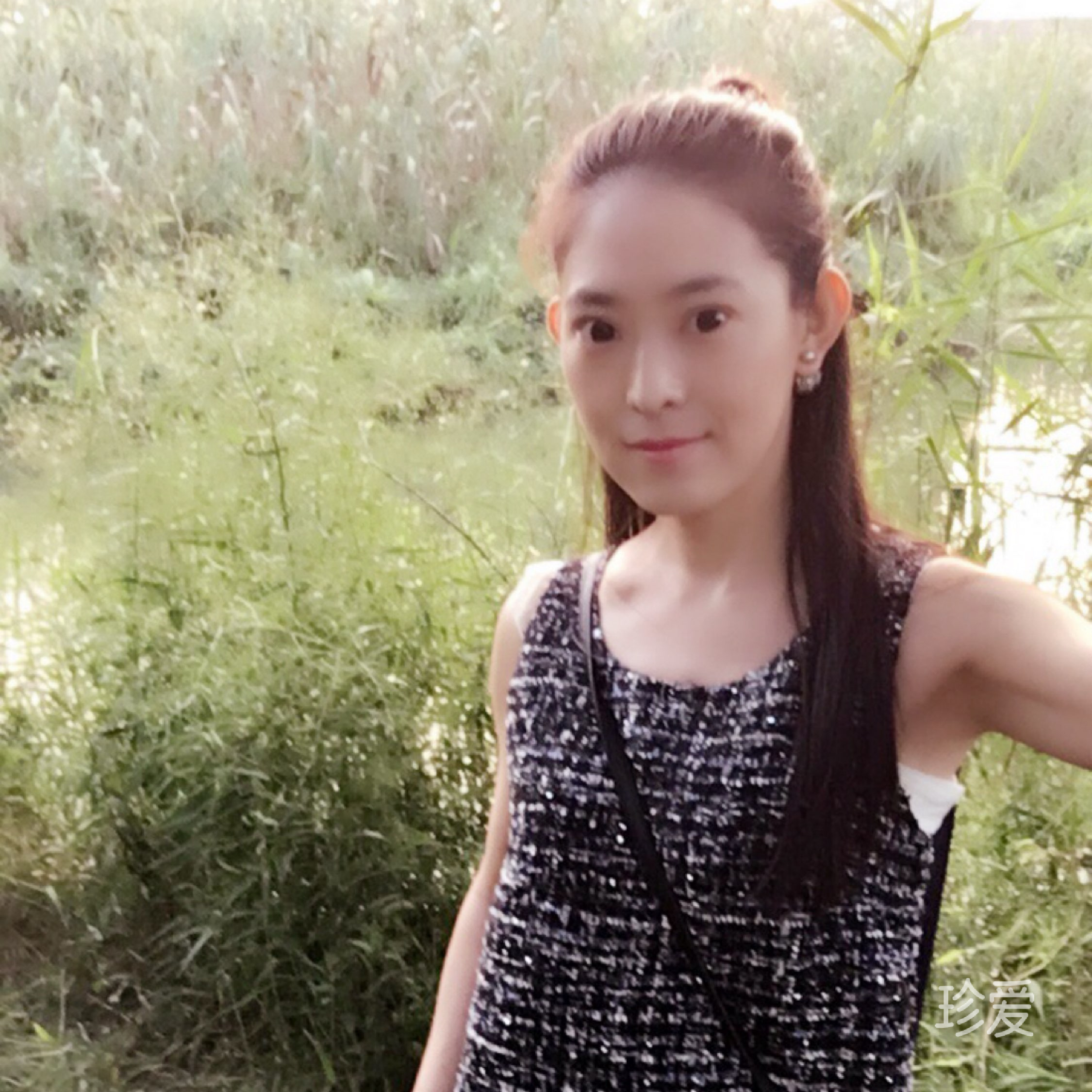 蒲公英的种子