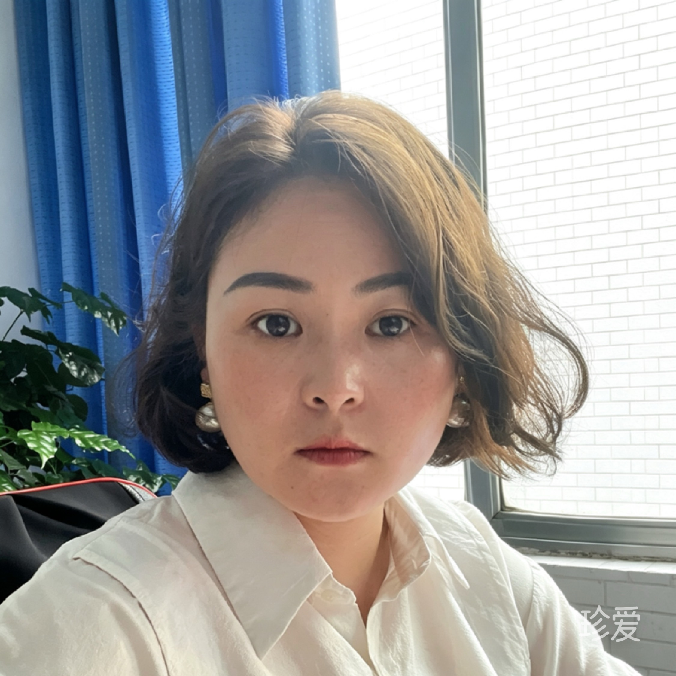 茹月