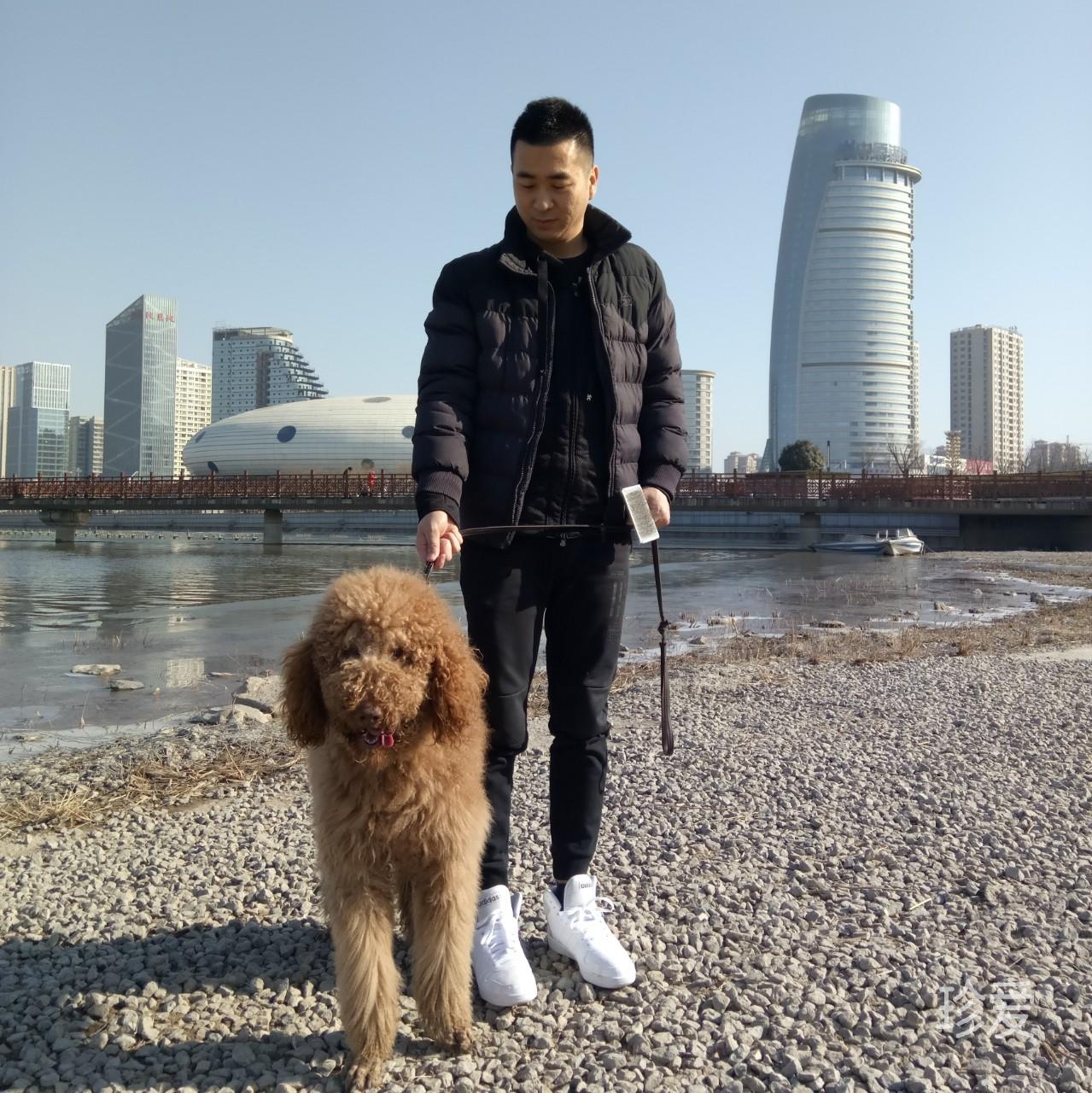 阿爾卑斯的群山