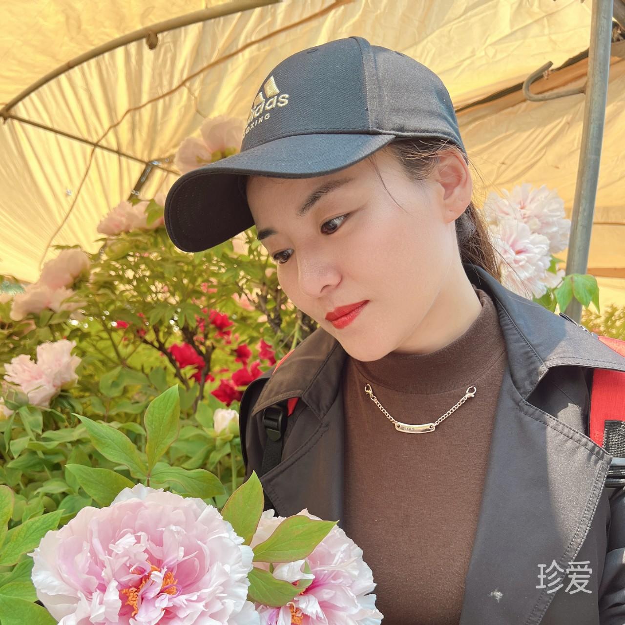 卿似清风