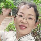 風(fēng)雨中的煙華