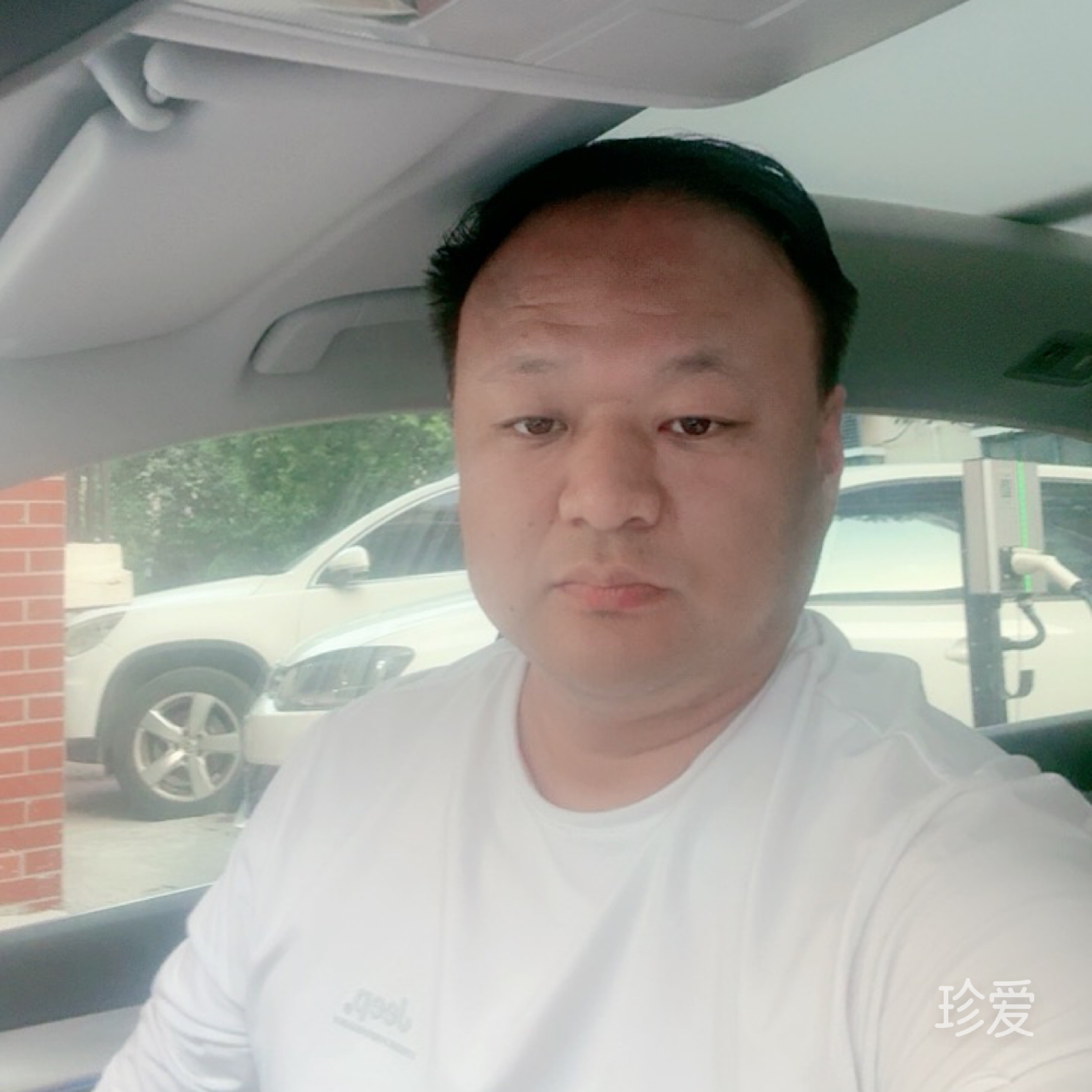 天若有情
